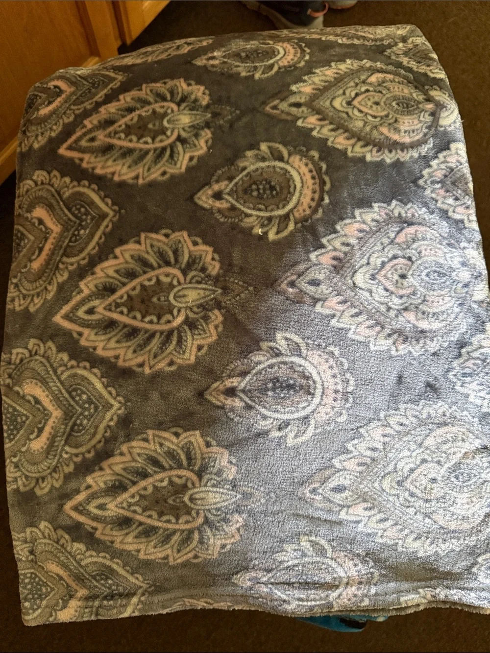 Plush Paisley Throw Blanket - Gray and Pink